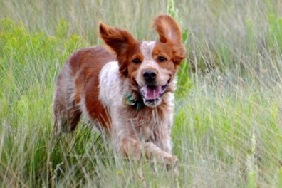 Cory hunts with a joyful attitude!