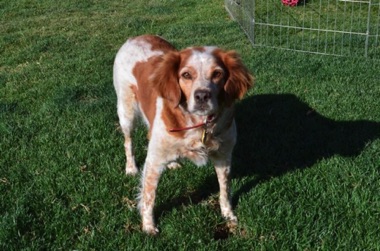 Ellie - Age 7 Ellie - Age 7