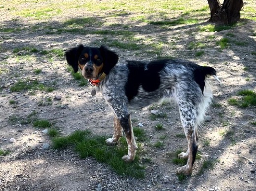 Tessie - One year, seven months
