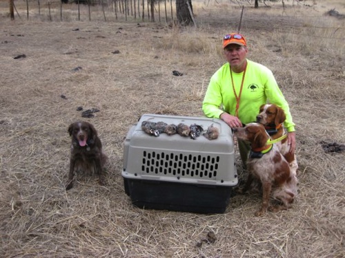 Rosie with her two pups Gunner and Harley, and owner Bob