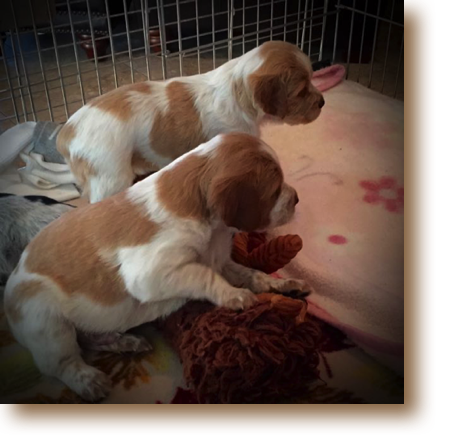 Mack, Maggie