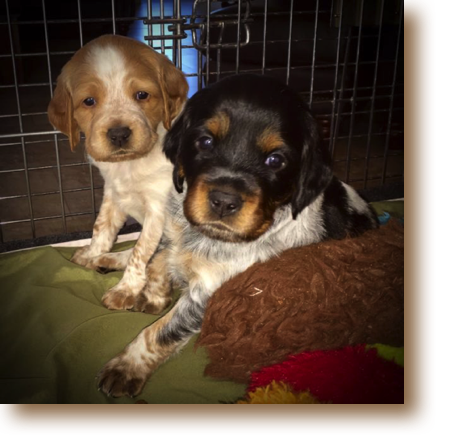 Maggie, Marie