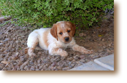 Mavis - 7 weeks