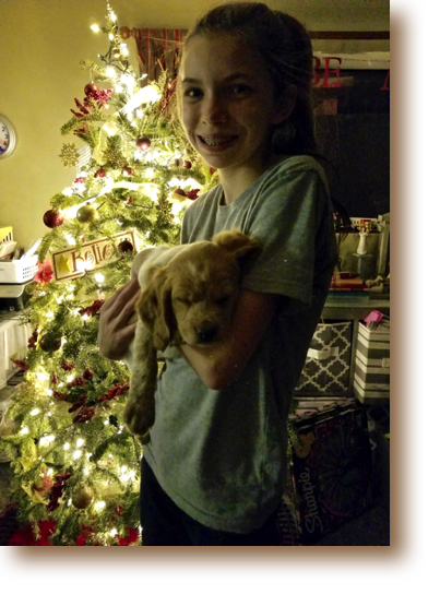 Nixie "Scout" is in Utah with her new owner Brooklyn and her family.