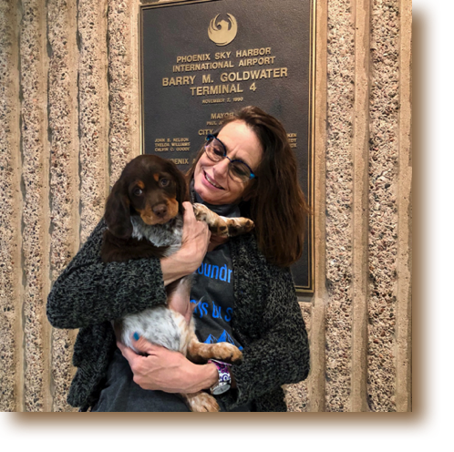 Scooter had his first plane trip to Nevada with his new owner.