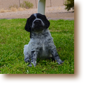 Olivia (Nellie/Cory)
5 weeks