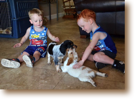 One lucky puppy will go home with these cuties soon!