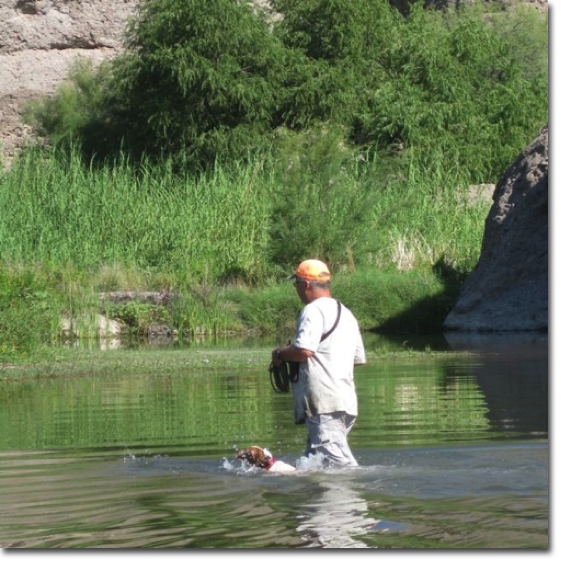 Learning to swim and retrieve in water