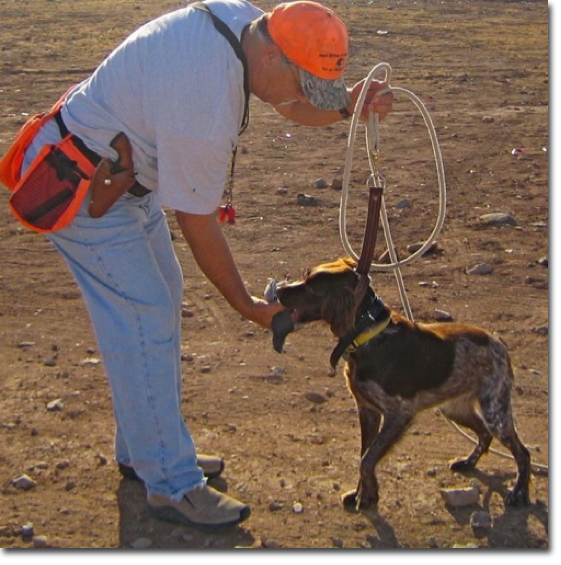 Training puppy to release bird